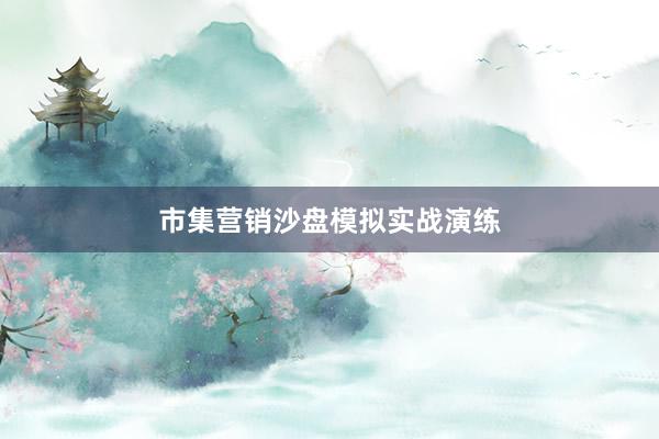 市集营销沙盘模拟实战演练